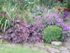 Martin Royer Beautiful Gardens